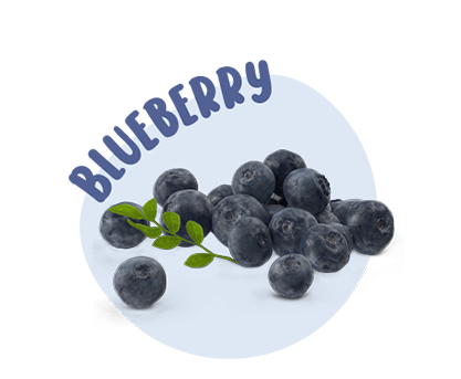Blueberry 