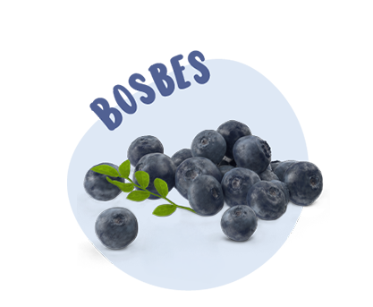 Bosbes zonder druppels 