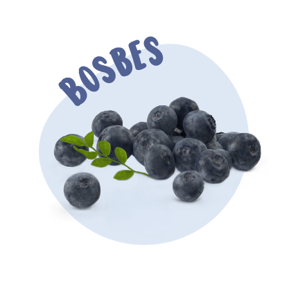 Bosbes zonder druppels
