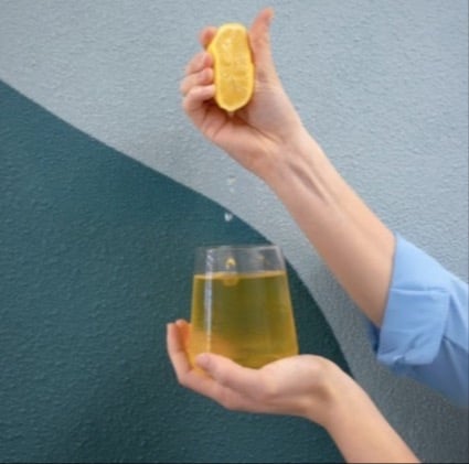 Lemon press in glass + sleve _ Medium-1-1-1